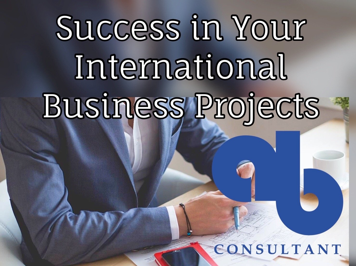 international business projects ltd