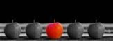 Turnaround and restructuring