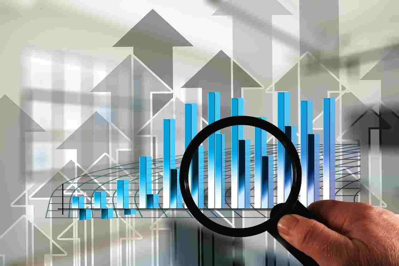 Net profit margin