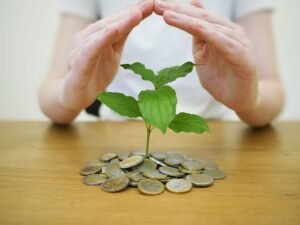 Profitability ratios