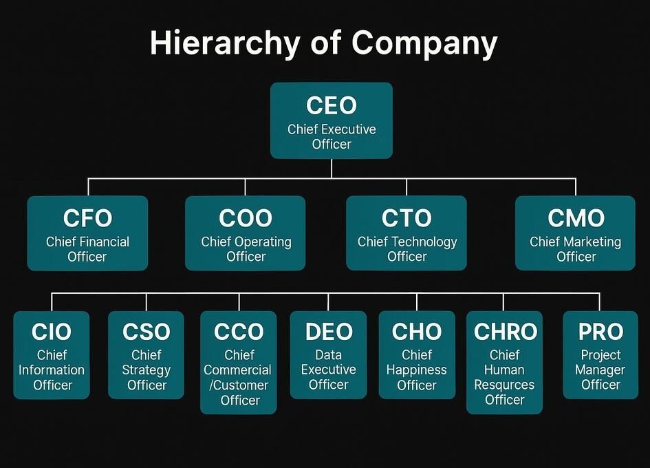 Hierarchy Of Company CEO CFO COO CMO CTO CIO Roles