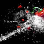 Paprika merah di antara percikan air dengan latar hitam, foto ilustrasi panduan rencana tindakan